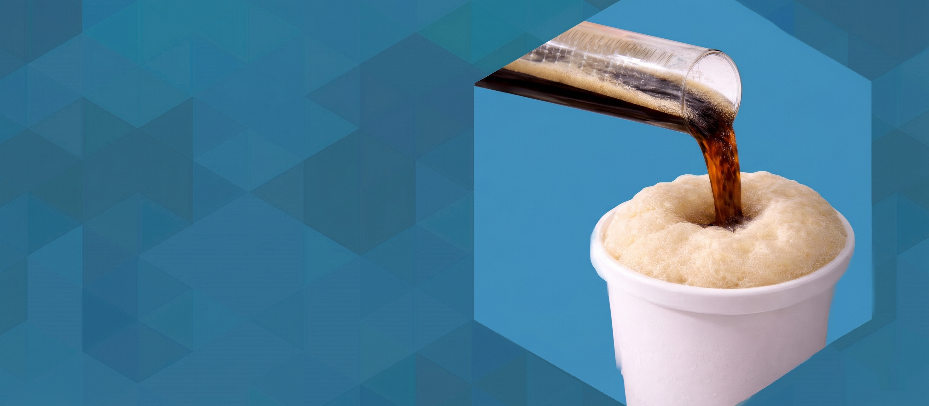 Білковий піноутворювач Livoton